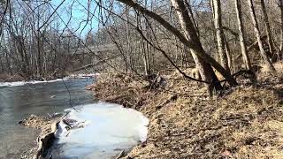 Hike at Philip Hillman Conneaut Creek Access conneaut ohio hiking woods nature [upl. by Enihsnus]