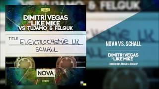 Nova vs Schall  DVampLM Tomorrowland´14 Mashup [upl. by Petras749]