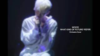 SEVENTEEN WOOZI  WHAT KIND OF FUTURE 어떤미래 Orchestra Cover [upl. by Asaph]