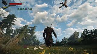 Witcher 3 Geralt Skellige Combat Modded Gameplay [upl. by Akiner]