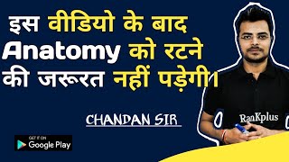 Human anatomy in hindi  human anatomy and physiology in hindi [upl. by Cacilia]