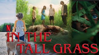 Netflix  In The Tall Grass 2019 Horror Full Movie HD 720p Fact amp Some Details  Patrick Wilson [upl. by Vita]