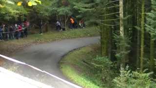 Finale de la Coupe de France des Rallyes 2013  OYONNAX  FULL HD [upl. by Kavanaugh]