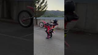 Honda crf 110 motocross girl wheelie [upl. by Alil782]