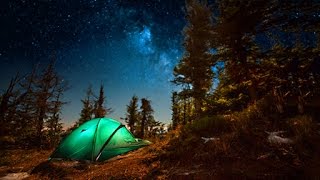 Campfire Sounds  Relaxing Forest and Nature Soundscape Camping Under the Stars [upl. by Naima]