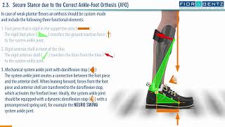 EN The Right Orthosis in case of a Combined Weakness of the Dorsiflexors and Plantar Flexors 24 [upl. by Nhoj]