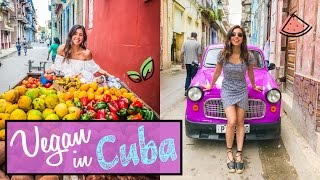 WHAT I ATE TODAY  Vegan in Cuba [upl. by Sclar]