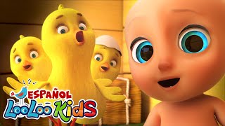 🐤🐥Los Pollitos Dicen Pio Pio  La Vaca Lola  Canciones Infantiles para niños  LooLoo Kids [upl. by Idnil]