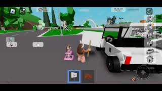 Role Play in Brooke Haven Roblox [upl. by Samled]