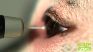 TONOVET tonometer slow motion [upl. by Pavlov]