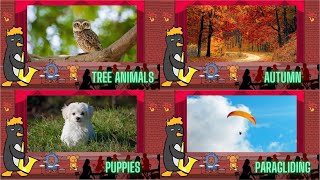 Jazz Baby Tree Animals Autumn Puppies amp Paragliding by Oxbridge Baby [upl. by Mallon948]