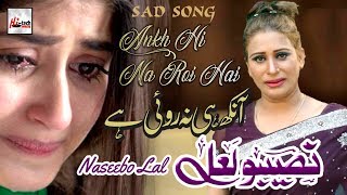 Aankh Hi Na Roi Hai  Best of Naseebo Lal  HITECH MUSIC [upl. by Akinnej]