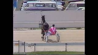 Moonee Valley trots Mon Jan 9th 1984  Pride Of Hilary [upl. by Agn]