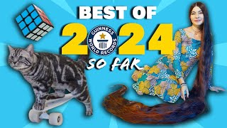 BEST WORLD RECORDS of 2024 so far  Guinness World Records [upl. by Atilek]