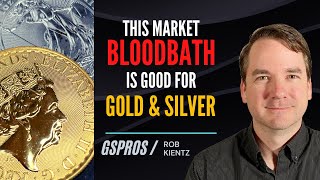 Why the Market Bloodbath Will Save Gold and Silver [upl. by Llegna]