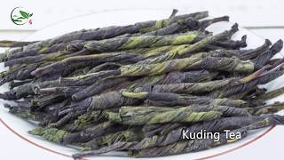 Wholesale Kuding tea directly from China Tea Factory Kuding Prevents highfact diet [upl. by Giglio]