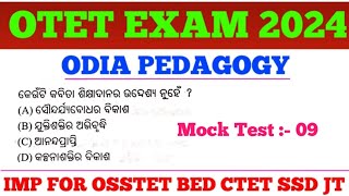 Target OTET Exam 2024  Odia Grammar MCQs  OSSTET CTET SSD JT TGT Exam  cine tv odisha [upl. by Dunson362]