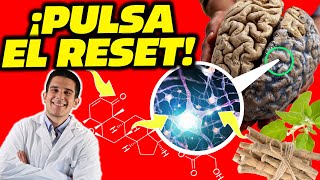 ASHWAGANDHA El MEJOR SUPLEMENTO contra el ESTRÉS🧠 Cómo Usarlo para Máximos BENEFICIOS [upl. by Linnell384]