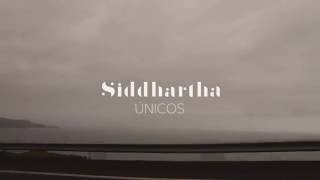 Siddhartha  Únicos Letra [upl. by Yenalem]