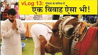 vLog 13 ऐसा विवाह आपने नहीं देखा होगा  जयपुर राजस्थान [upl. by Khan]