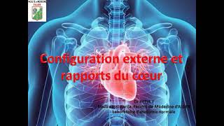 Configuration externe et rapports du coeur [upl. by Eidok]