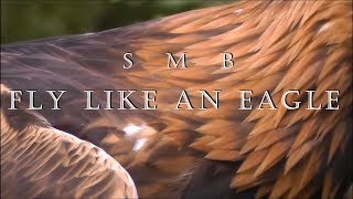 SMB  Fly LIke An Eagle HD lyrics [upl. by Laerdna]