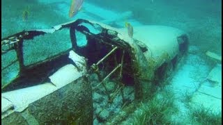 Snorkeling CocoCay  Royal Caribbean  Snorkel Coco Cay Bahamas [upl. by Jari]