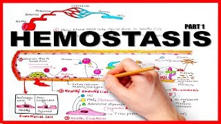 HEMOSTASISBLOOD CLOTTING MECHANISM part 1Natural Anticoagulants [upl. by Irtimd]