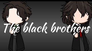 Harry Potter react  marauders era react to… the black brothers [upl. by Einon]