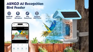 The Bird Lover App User Guide Everything You Need to Know About the Auxco Smart Bird Feeder [upl. by Zara]