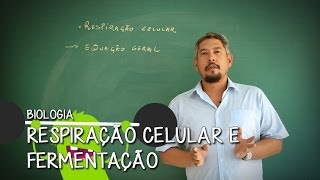 O que é Mitocôndria  Extensivo Biologia  Descomplica [upl. by Chaney39]