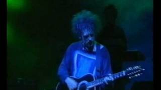 The Cure  From The Edge Of The Deep Green Sea Live 1995 [upl. by Easlehc]