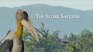 The Stork Saviours  Trailer  Golden Hessian Lion Award Winner 2020 [upl. by Kavanagh290]