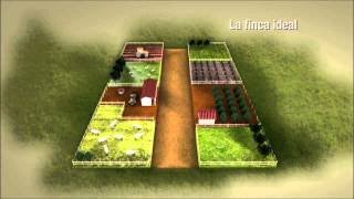 Plan Finca [upl. by Flss]