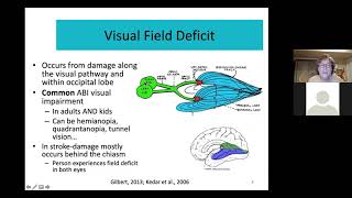 Hemianopia the Hidden Impairment following PCA Stroke Functional limitations Ax Intervention [upl. by Scornik]