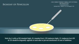 Bioassay of penicillin [upl. by Abad547]