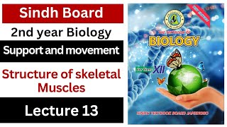 structure of skeletal muscle  support and movement  class 12 biology Sindh board New book [upl. by Elcin329]