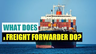 Best Freight Forwarder for you [upl. by Carolle822]