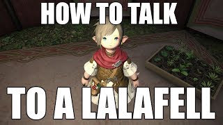 How to Talk to a Lalafell FFXIV Funny Machinima [upl. by Uon]