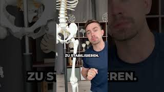 HÜFTSCHMERZEN physio anatomie [upl. by Atirat]