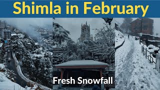 Shimla in February  Snowfall in Shimla  Best time to Enjoy Snowfall in Himachal😍❄ [upl. by Orban475]