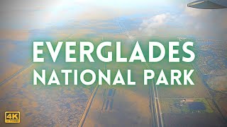 Everglades National Park Miami Florida 4k Video [upl. by Campos980]