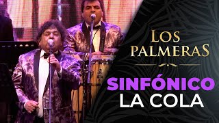 Los Palmeras y la Sinfónica de Santa Fe  La Cola [upl. by Shawnee]