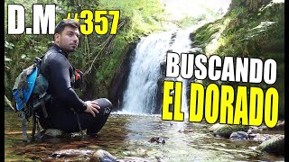 Explorando en busca de ORO Recuperación de oro en río  Detección Metálica 357 [upl. by Bilicki]