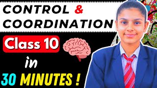 Control and Coordination  Class 10  Full Chapter in 30 Minutes  😱🔥 [upl. by Racso]