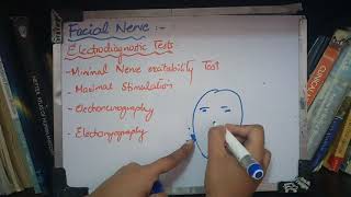 FACIAL NERVE complete description with disorders part 3 [upl. by Ahsotal]