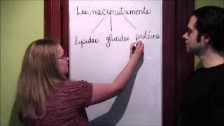 12 Biochimie  Intro aux macronutriments [upl. by Adok]