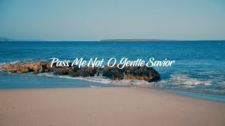 Pass Me Not O Gentle Savior  Hymn Piano Instrumental with Lyrics [upl. by Sidonia827]