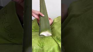 NATURAL ALOEVERA GEL FOR FACE beauty aloevera face natural facepackforfairskin youtubeshorts [upl. by Kikelia]