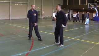 Li Ting Kui 李廷奎 Chang Chun Bajiquan 长春八极拳  Ying shou 2 应手拳2路 [upl. by Aniratac515]